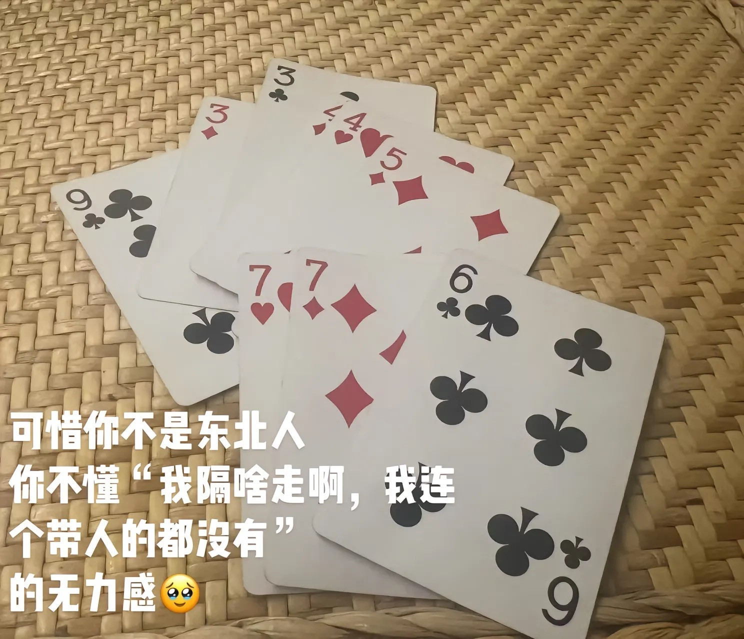 可惜你不是东北人，不懂“我隔啥走啊，我连个带人的都没有”的无力感