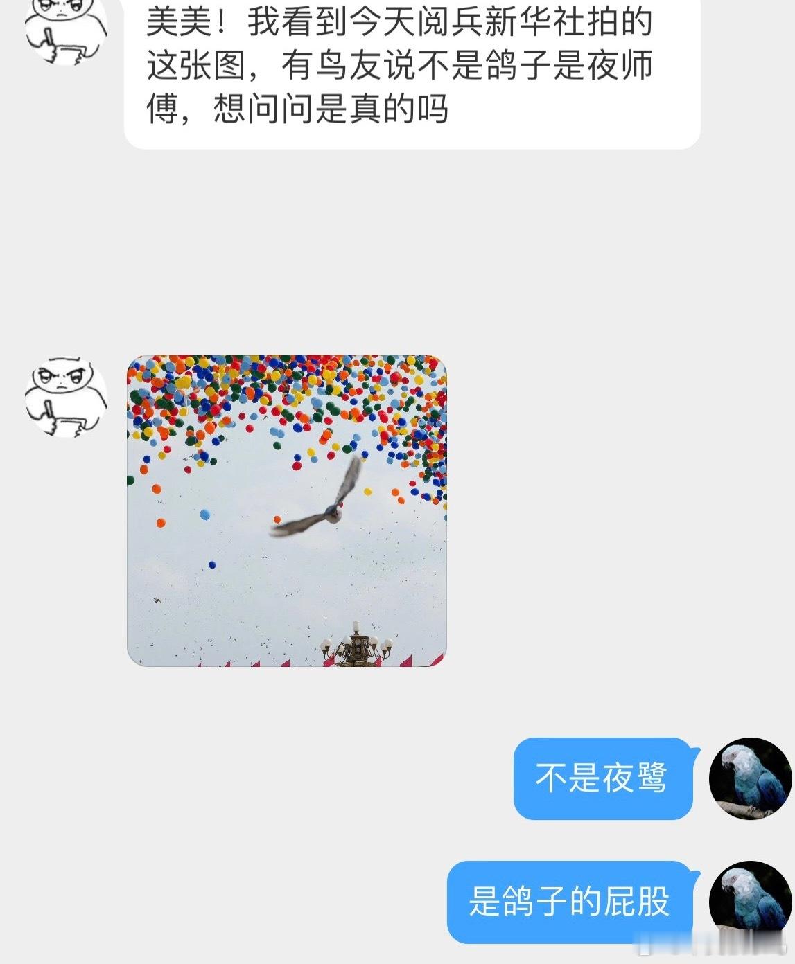很多小天才私信问阅兵出镜的是不是夜鹭省流版：不是夜鹭是鸽子的屁股分析版小图乍一