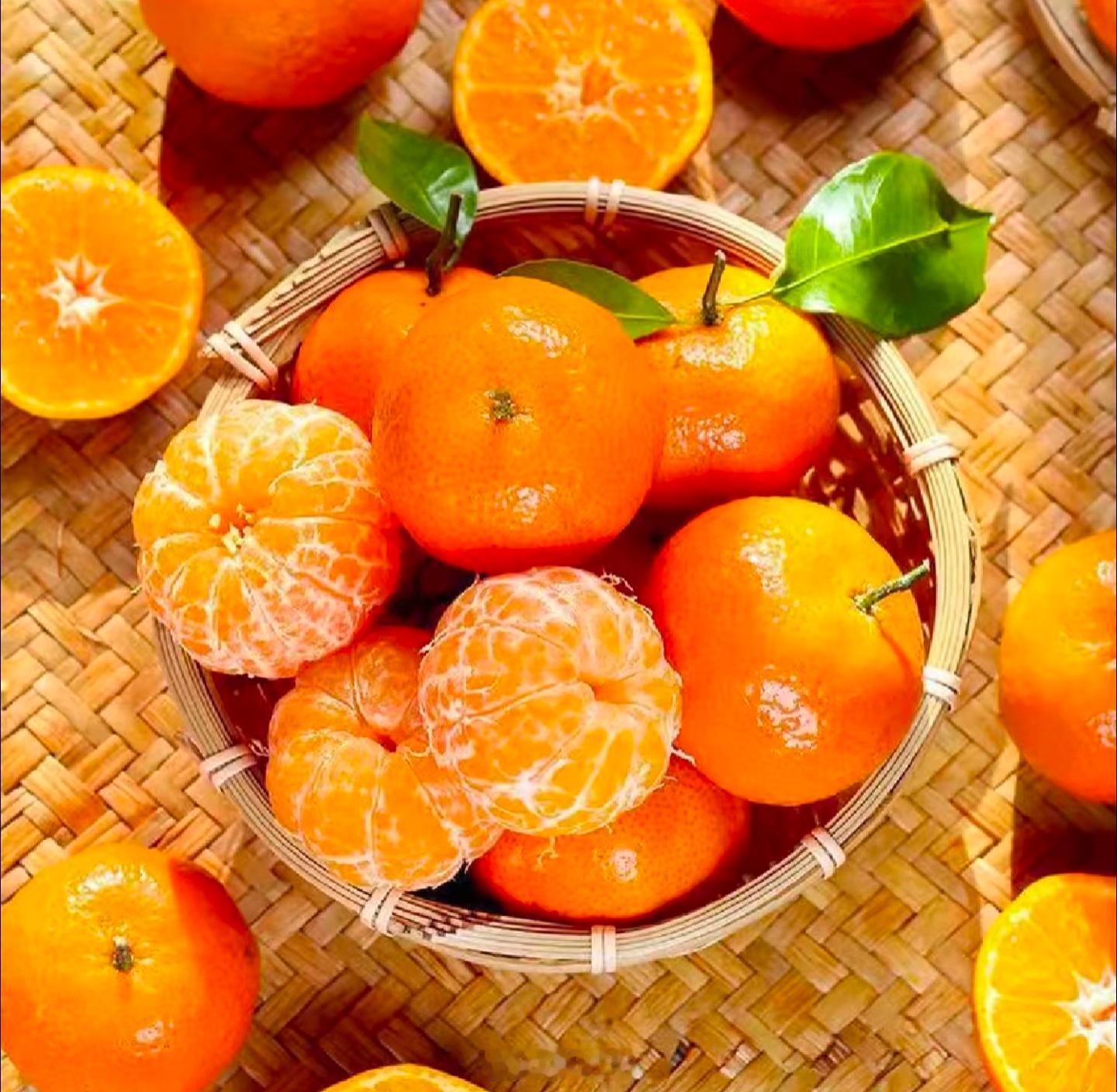 年货从夯到拉耙耙柑、沙糖桔、芒果必须夯，每年都要买一大堆