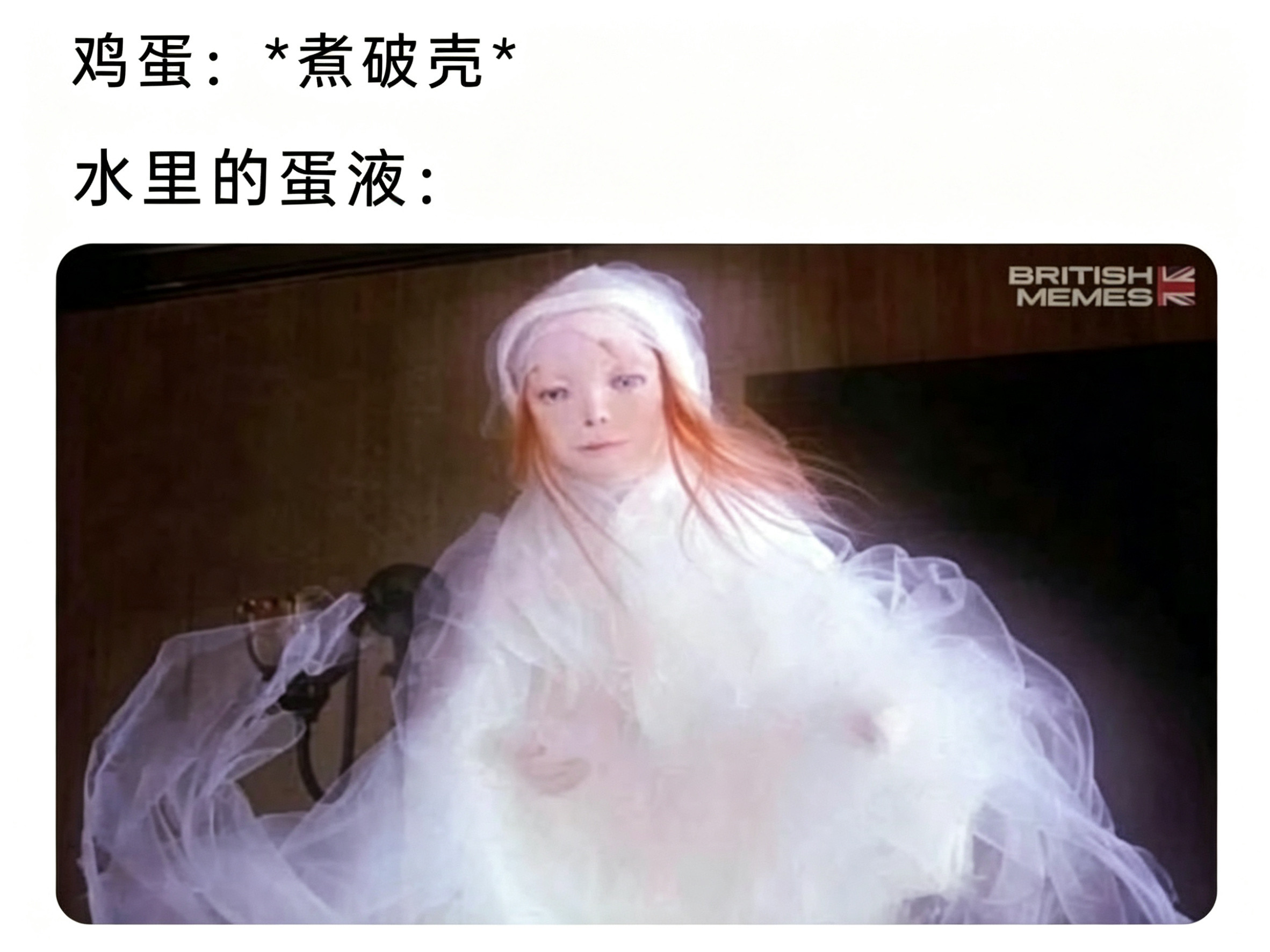 我煮鸡蛋🥚meme