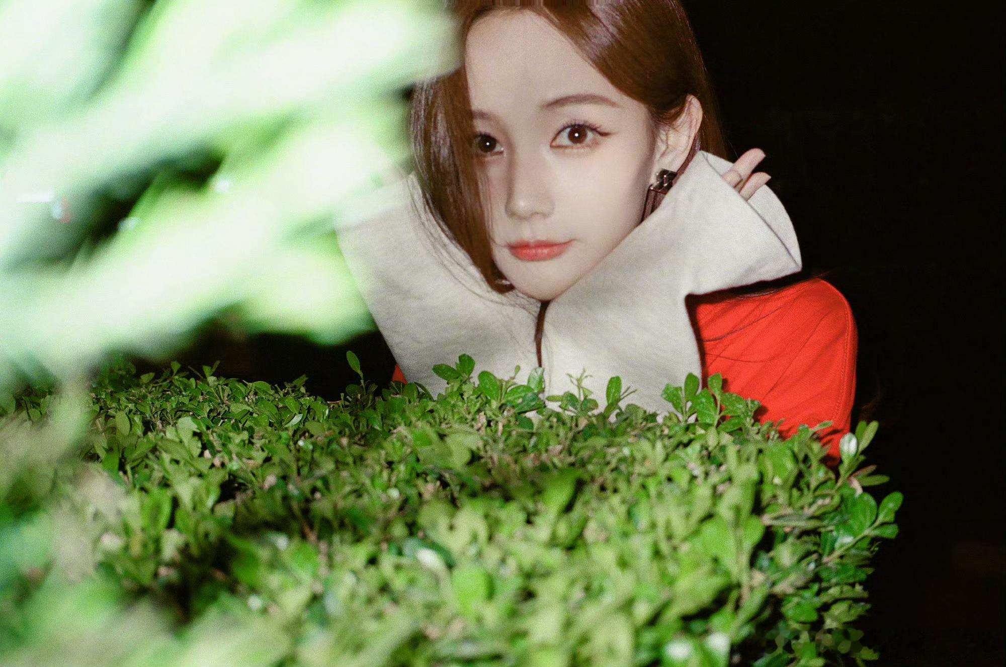 李一桐三秒出片，拍的好惊艳