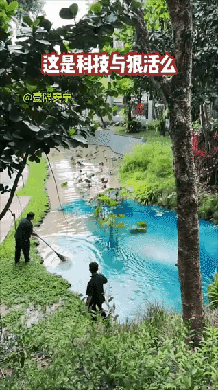科技与生活，在这里生活的鱼，一定是会仰泳的。