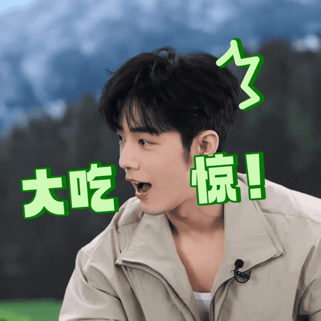 哈哈哈！接收心相印独家奉上的肖战表情包，心心是不是来虾圈卧底了，它的这些表情包好