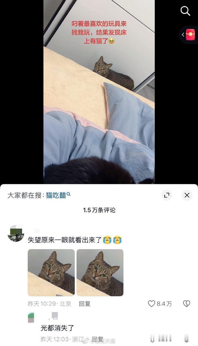 原来失望真的一眼就看出来了