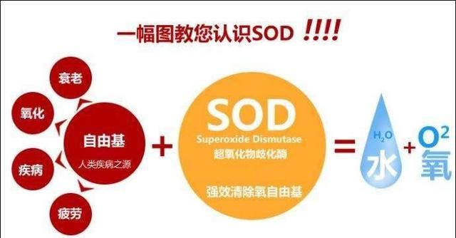 女性衰老有5大元凶, 坚持这5种保养方法, 可以延缓衰老30年