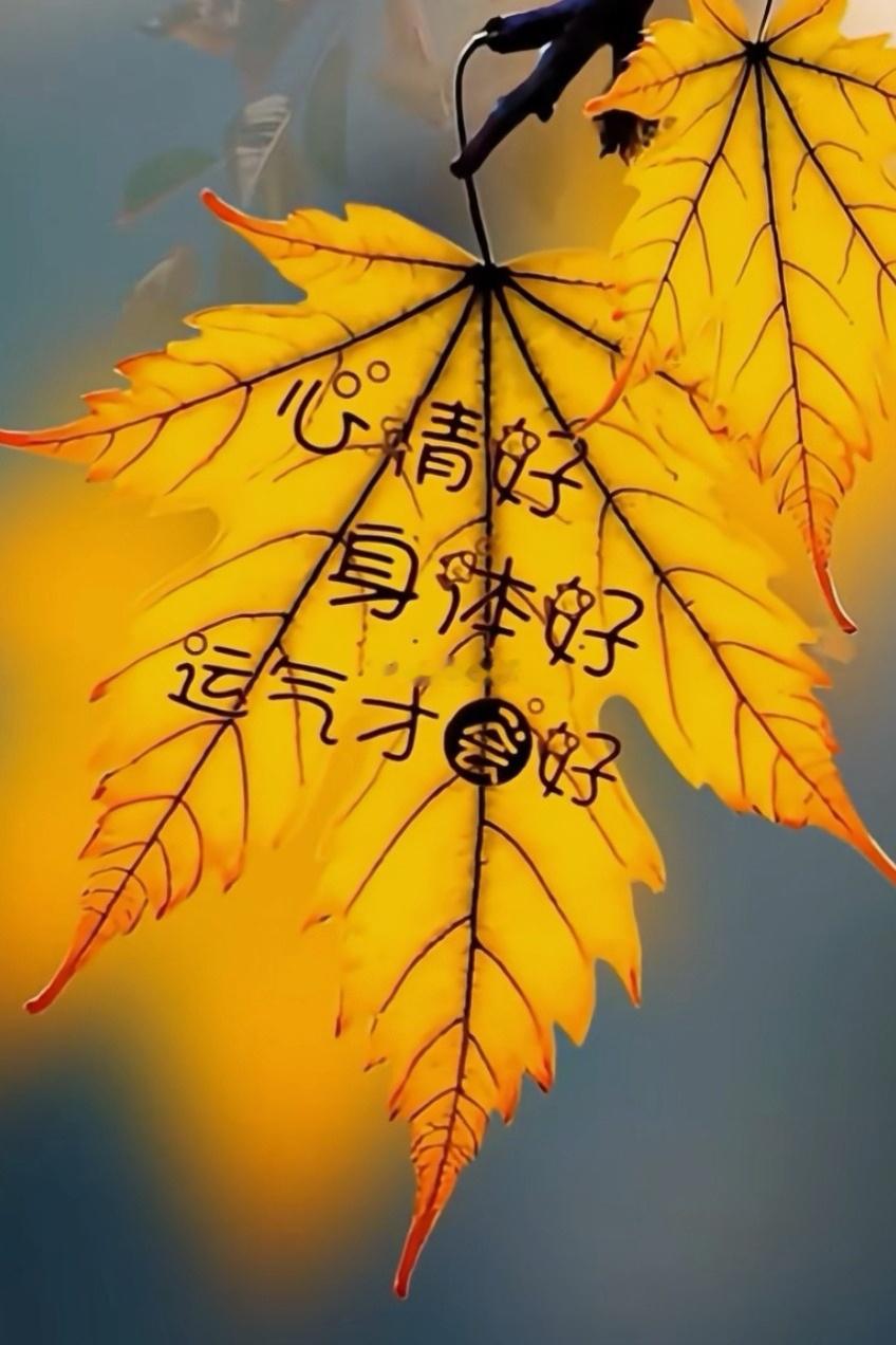 大家早，心情好，每一天