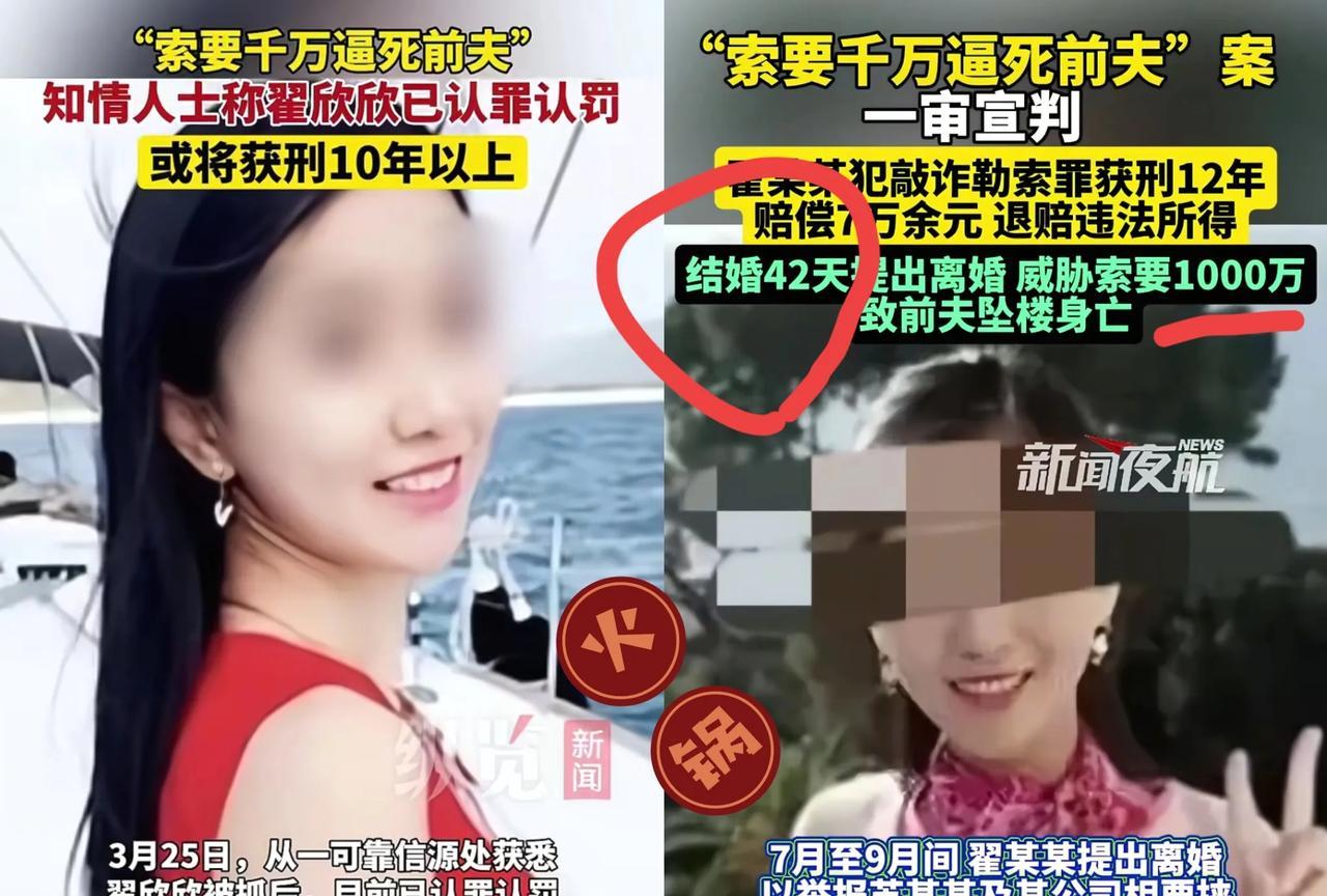 等出狱都绝经了，翟欣欣被判12年监禁拖了8年，终于尘埃落定！翟欣欣，一个有着