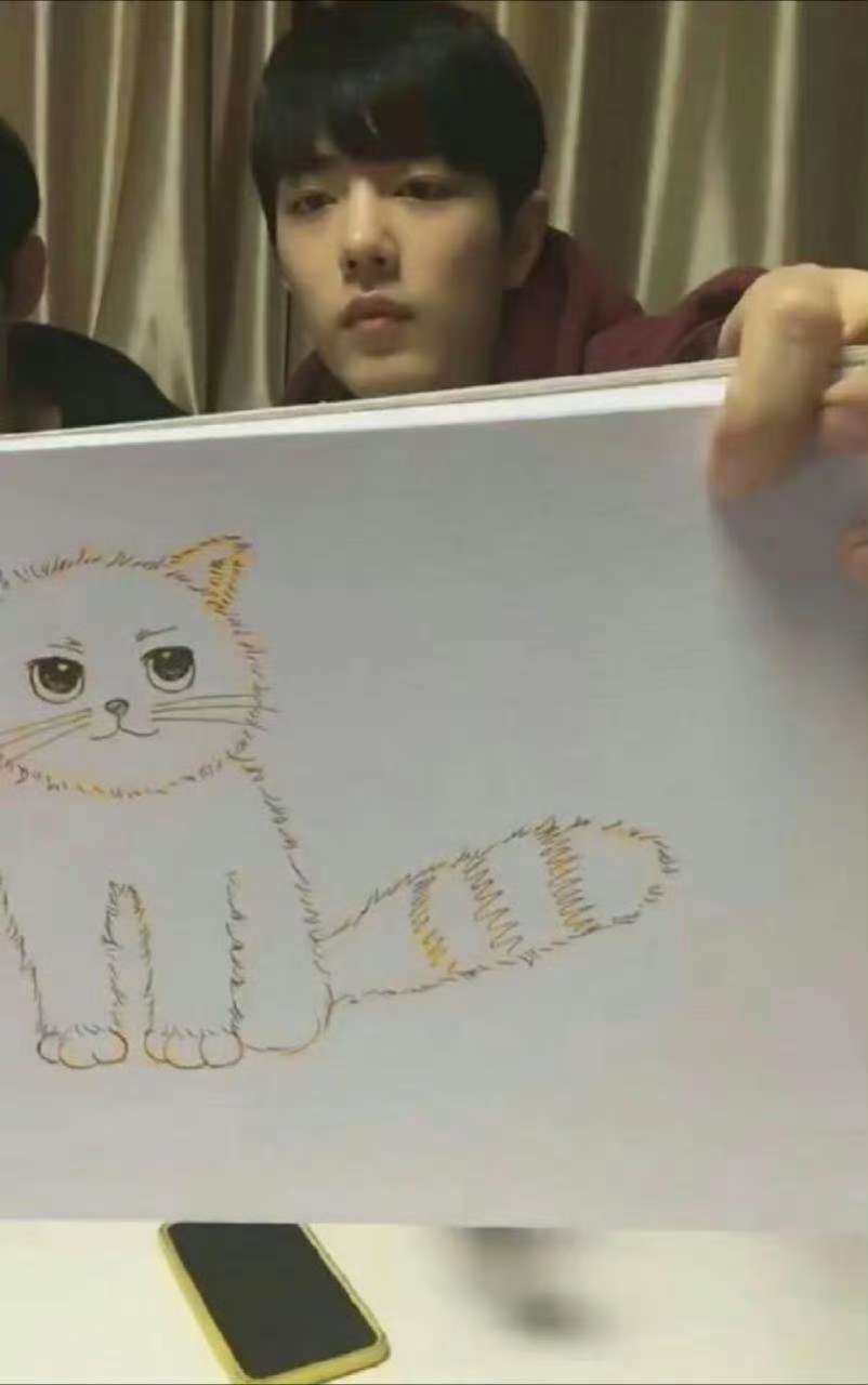 肖战画的是以前画过的猫咪啊。