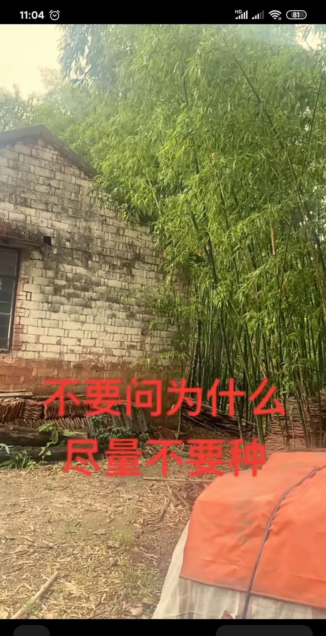 我就属于那种混吃等死类型的，就想平淡过完这一辈子就行，没有多少存款但也没有任何负