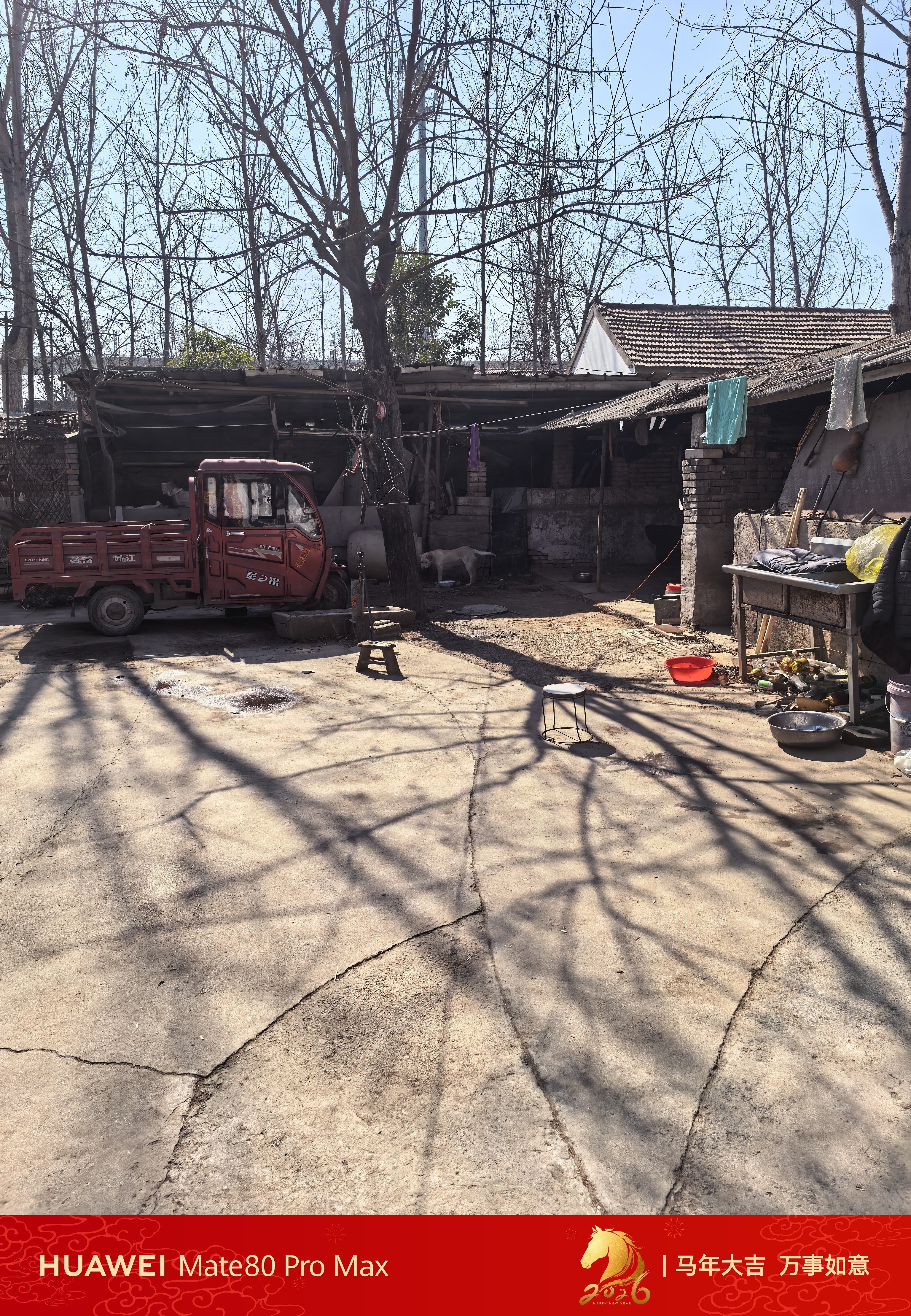 岳父家，养的鸡，羊，狗，这就是农村生活呀