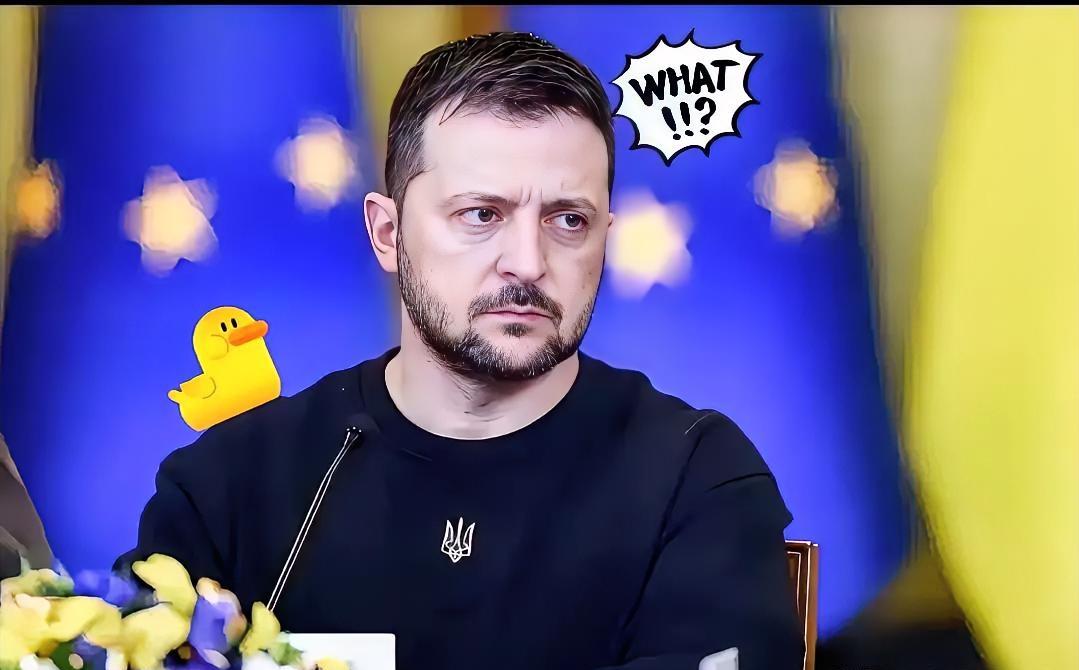 就在刚刚乌克兰正式发布重要消息！​2025年11月11日乌克兰国家电力公司宣