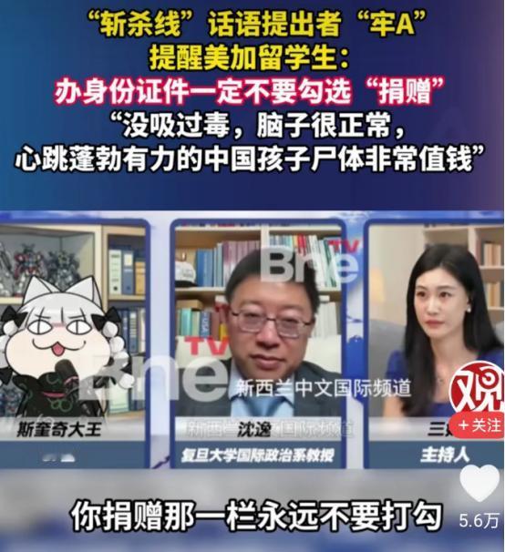 知道为什么中国禁止美国再收养中国孤儿了吧，美国人不养自己国家的流浪孩子，但万里迢