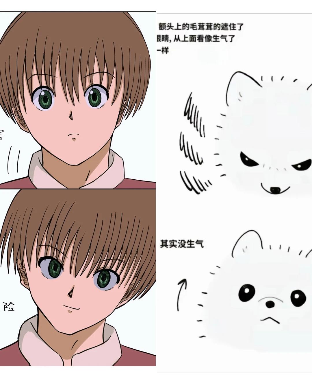 此男梗图应倒过来看全职猎人全职猎人侠客