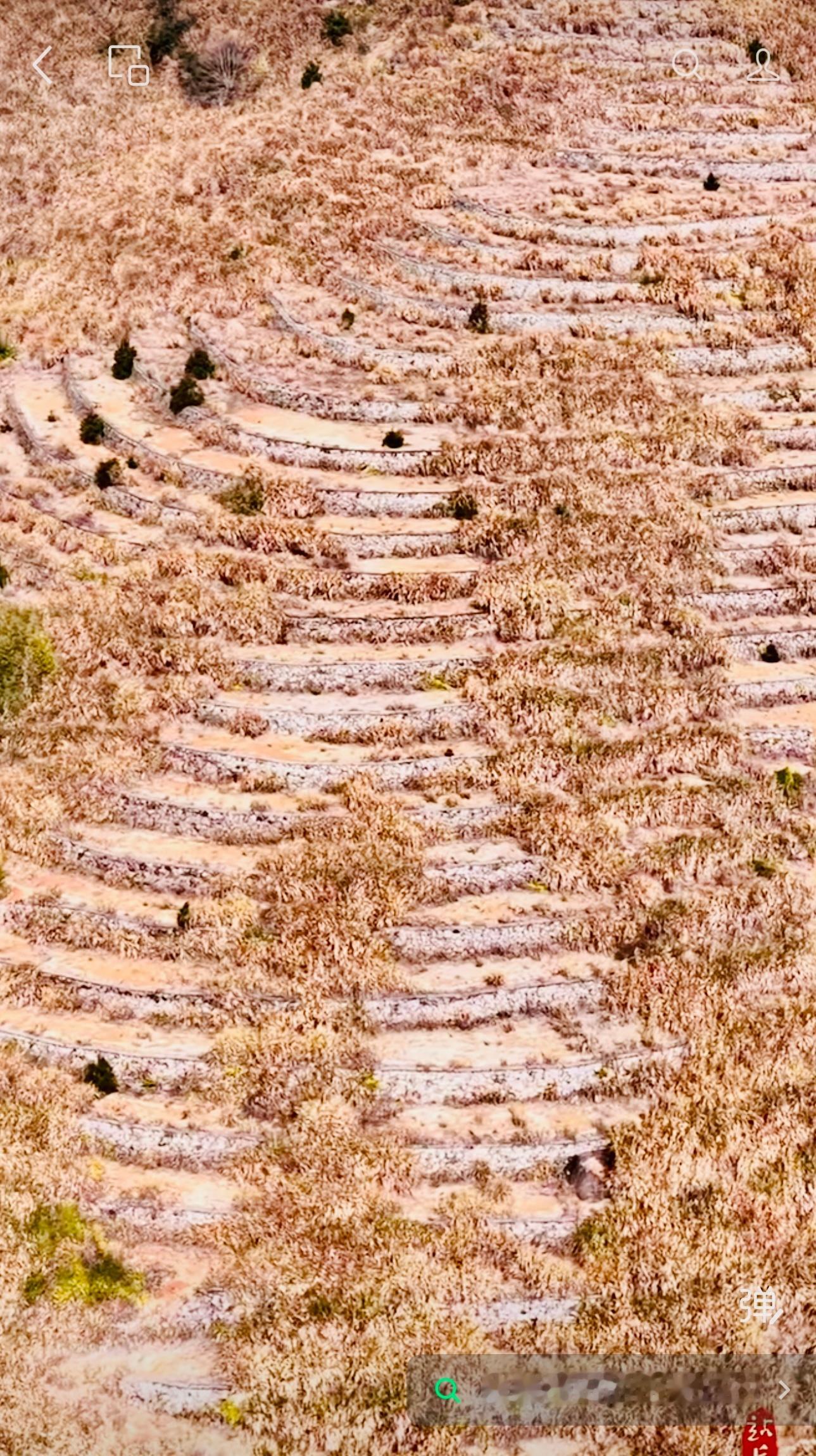 修建这么梯田到底准备种什么呀？决策人出来走两步。