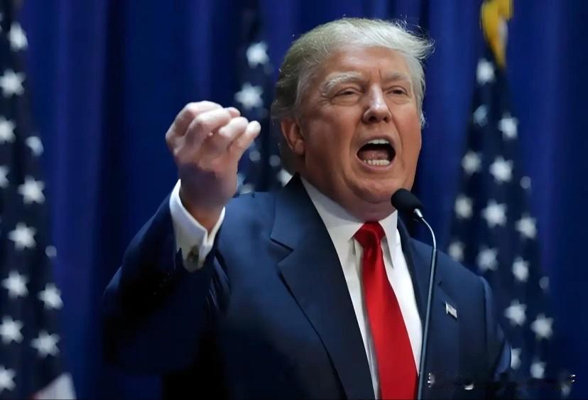 特朗普一语惊人，对法国加税200%，都是被马克龙逼的当地时间1月19日，特