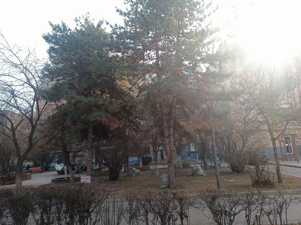 地质队员邓叔叔回忆，北京修建毛主席纪念堂之后，为纪念毛主席在陕北延安生活战斗13