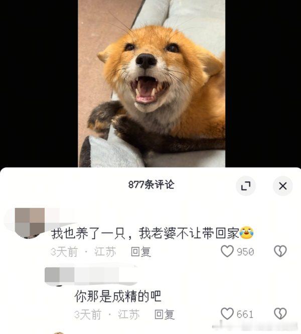 不玩出轨梗能怎？？放过小动物行吗？？？​​​