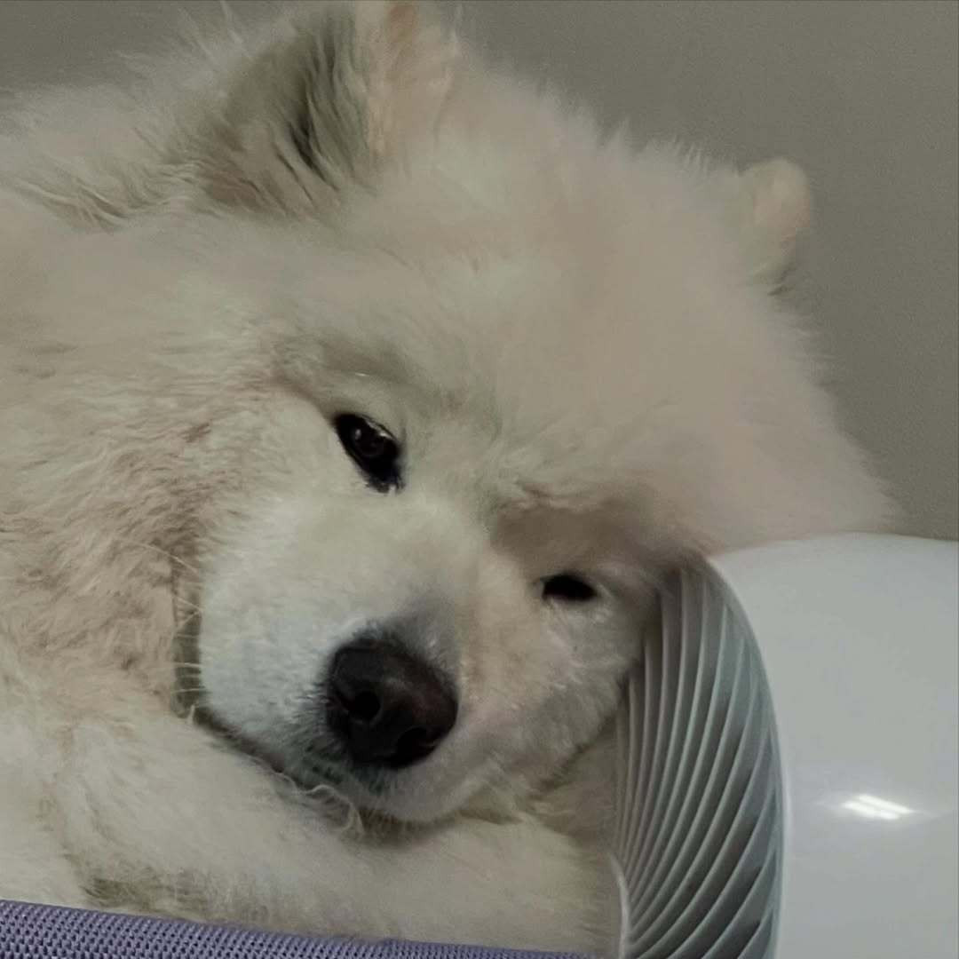 怎么明天还要上班耶