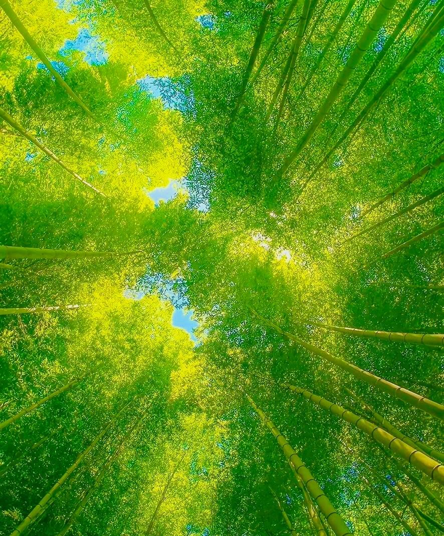 ：）单身男人的生活前天我看到一个B站的30多岁保持单身的男主播分享自己房子的