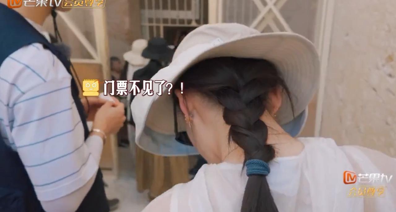 李沁的门票不见了，眼看张晚意他们都走远了，幸好龚俊停下脚步。一般都是龚
