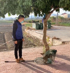 流浪狗头比身体还大！本以为它是被蜜蜂蛰了，但没想到…莆田的救援人员救助的这条流浪