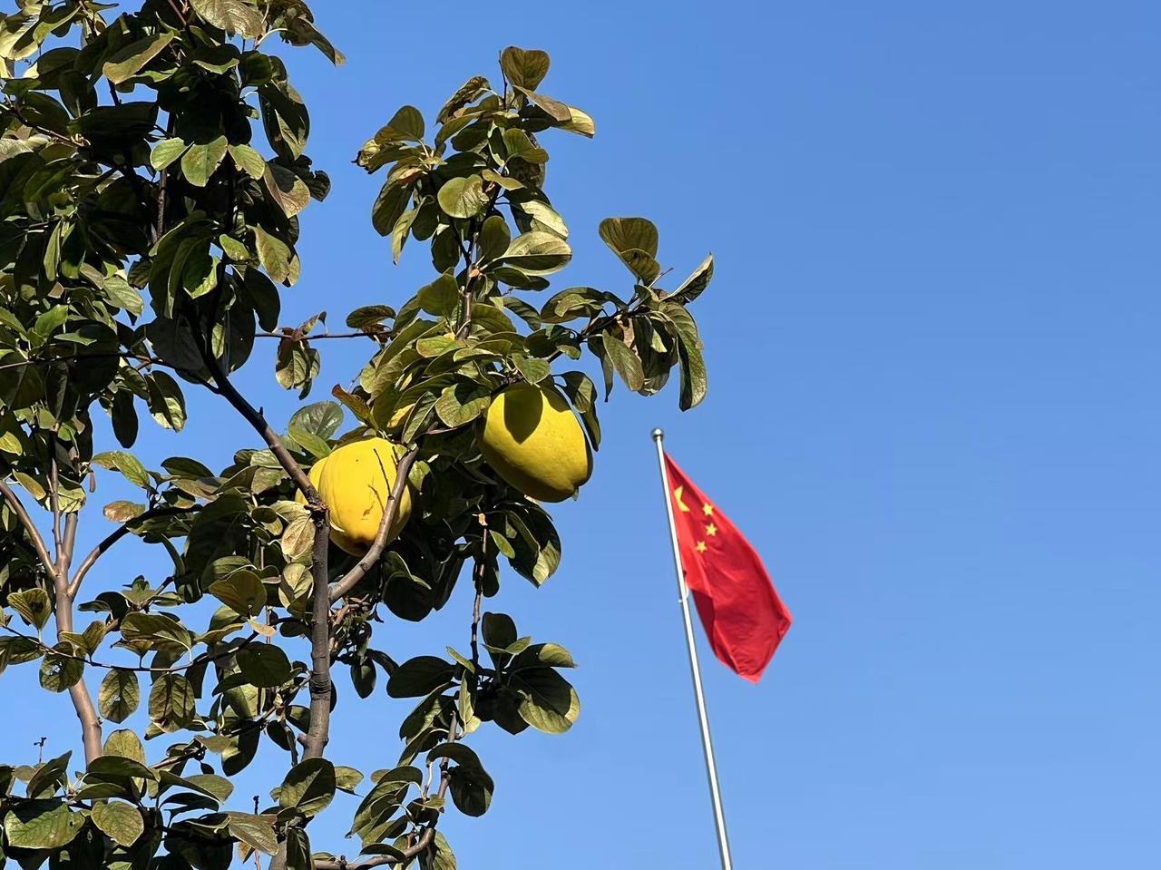 今天，和大家分享一个真实发生在校园里的场景。一个学生不愿上学，打电话要求家长立