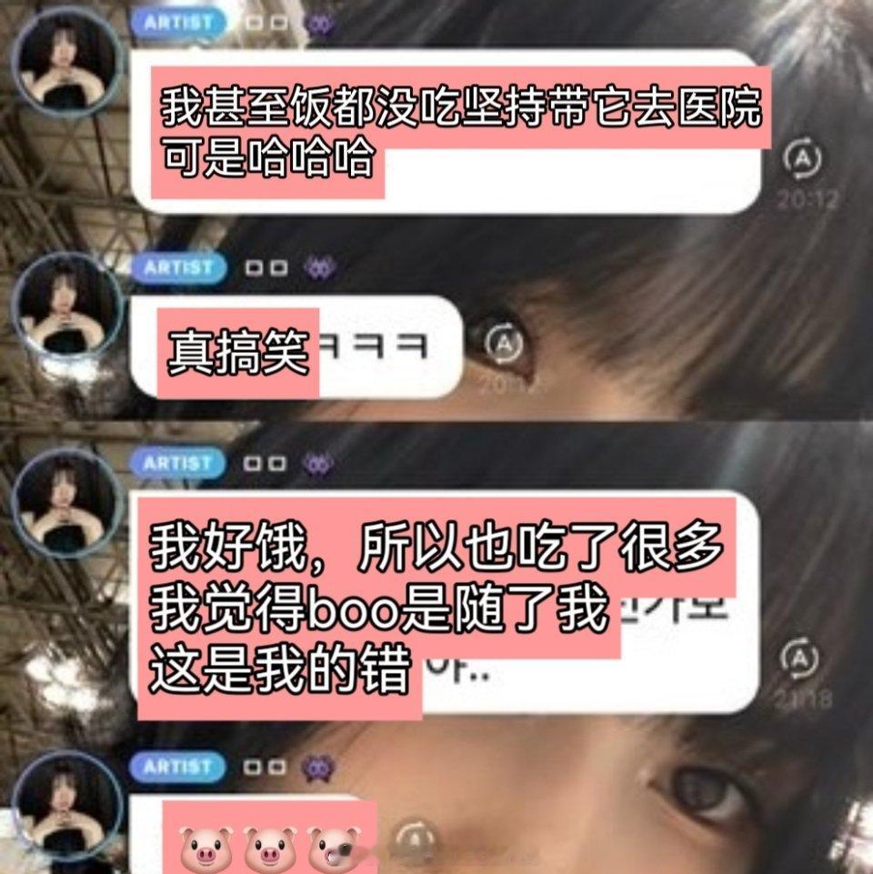 平井桃发现狗没精神，急忙冒着雨饭都没吃抱狗去医院检查结果：狗吃太多积食了。