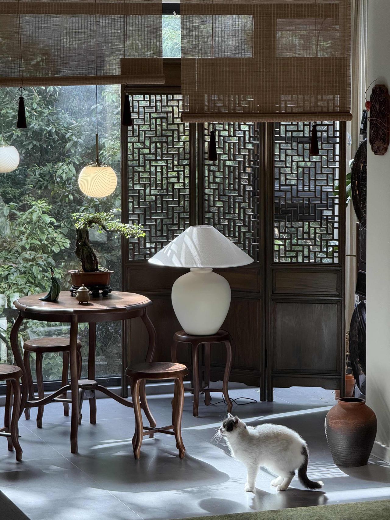 当初被人嫌弃的破二楼，如今成了我的温馨小窝，我常独自坐在阳台，泡壶茶、看本书，