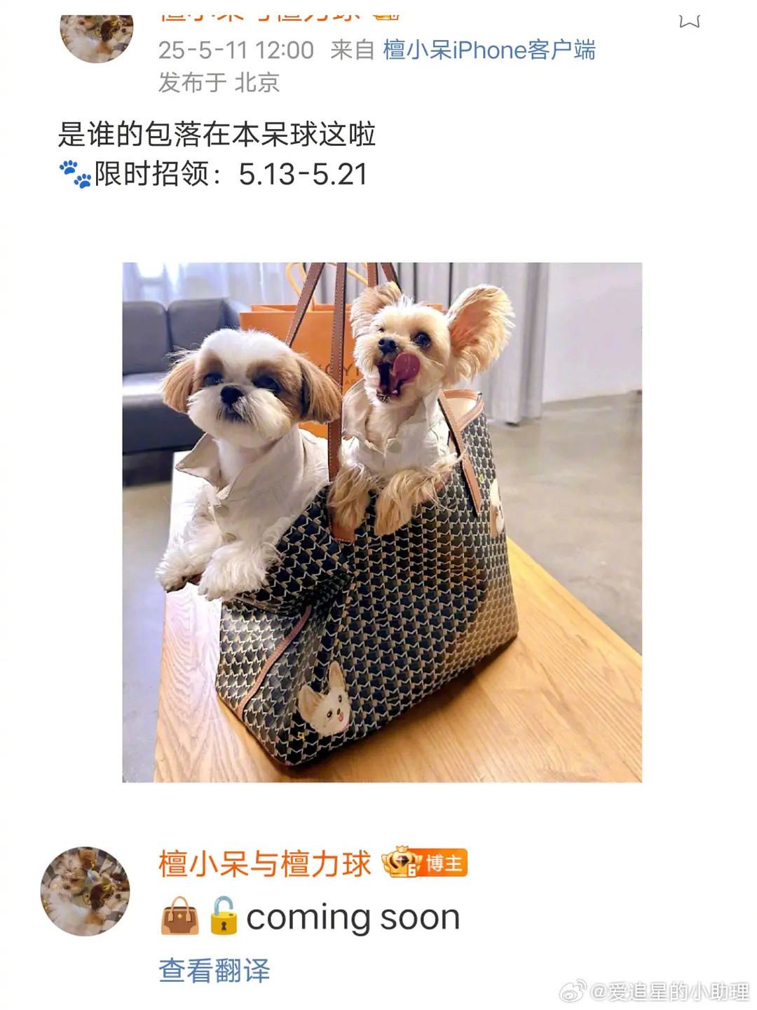 檀健次的小🐶这是也接到高奢代言了？​​​
