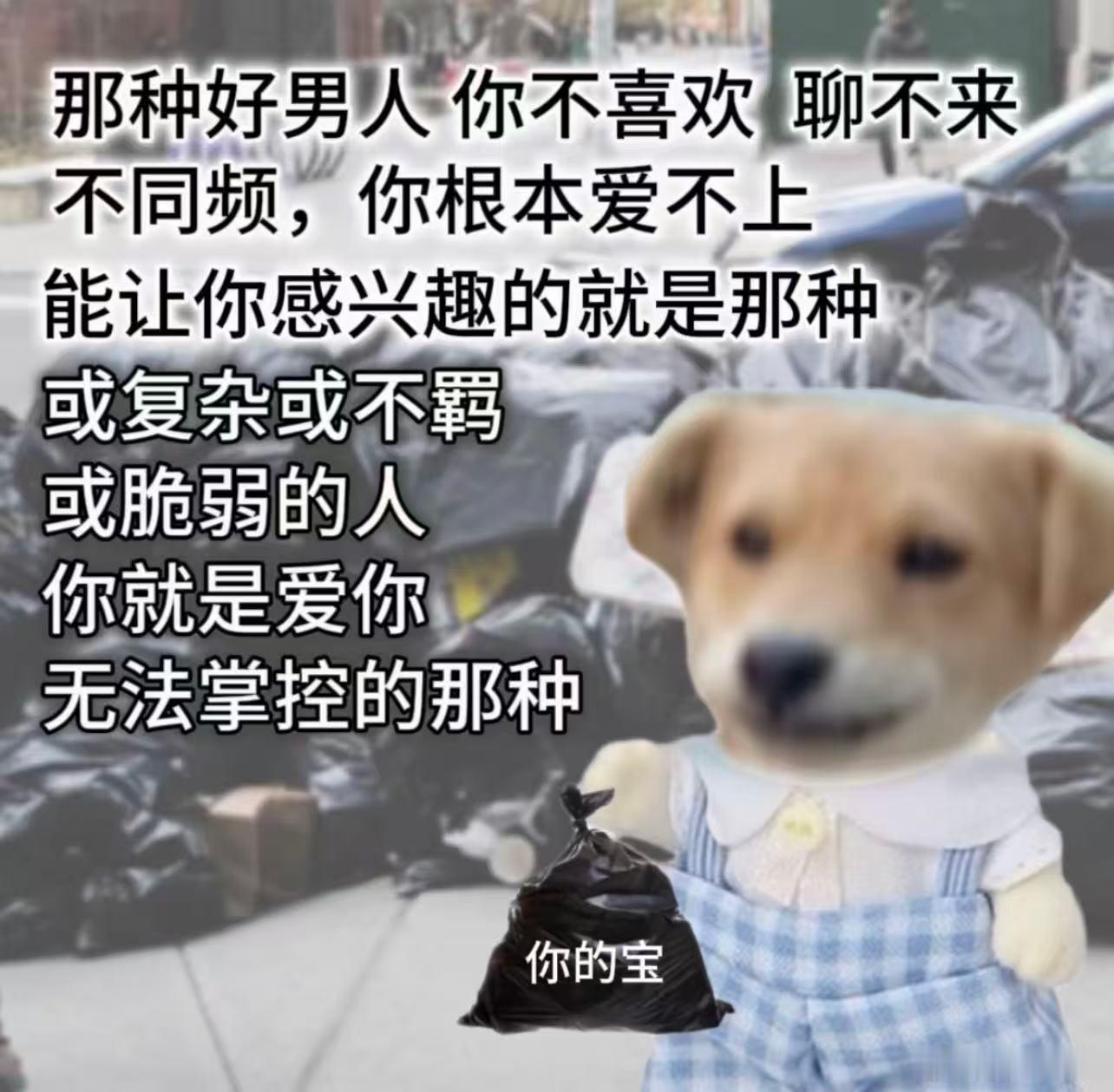 十二星座射手座就是自己的感情世界空白的时候，他们也敢给别人当军师，关键是都还能