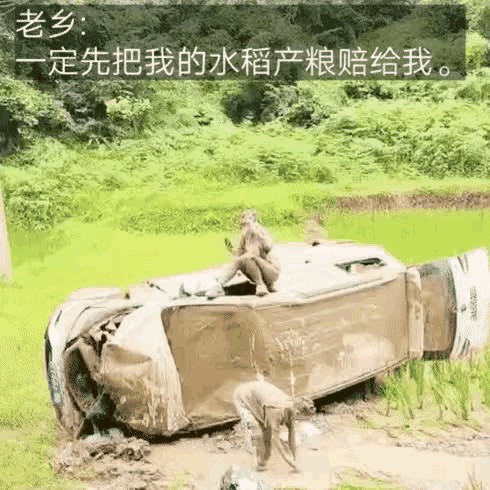 看到了吧，这就是传说中的女司机出征，寸草不生[捂脸哭]