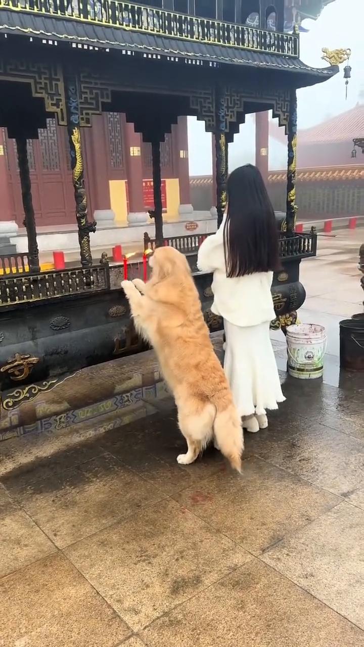 当年qq火了，成就了多少爱情。后来微信火了，拆散了多少婚姻。现在抖音火了，抖出多