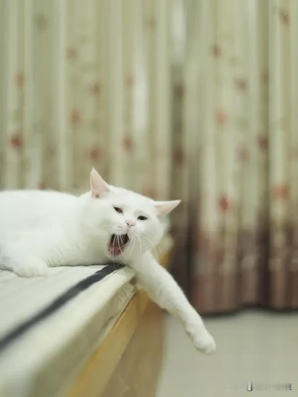 大年初三为何要睡懒觉大年初三睡懒觉，这习俗可有不少门道。春节前几天忙着拜年、聚