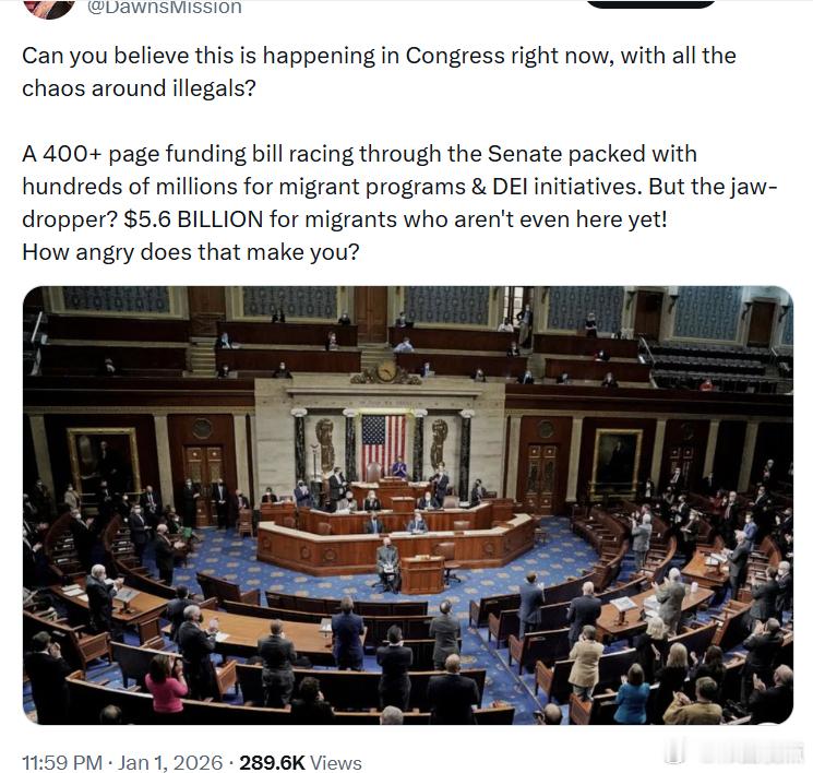 你能相信现在国会居然发生这种事吗，在非法移民问题一片混乱的情况下？一份超过400