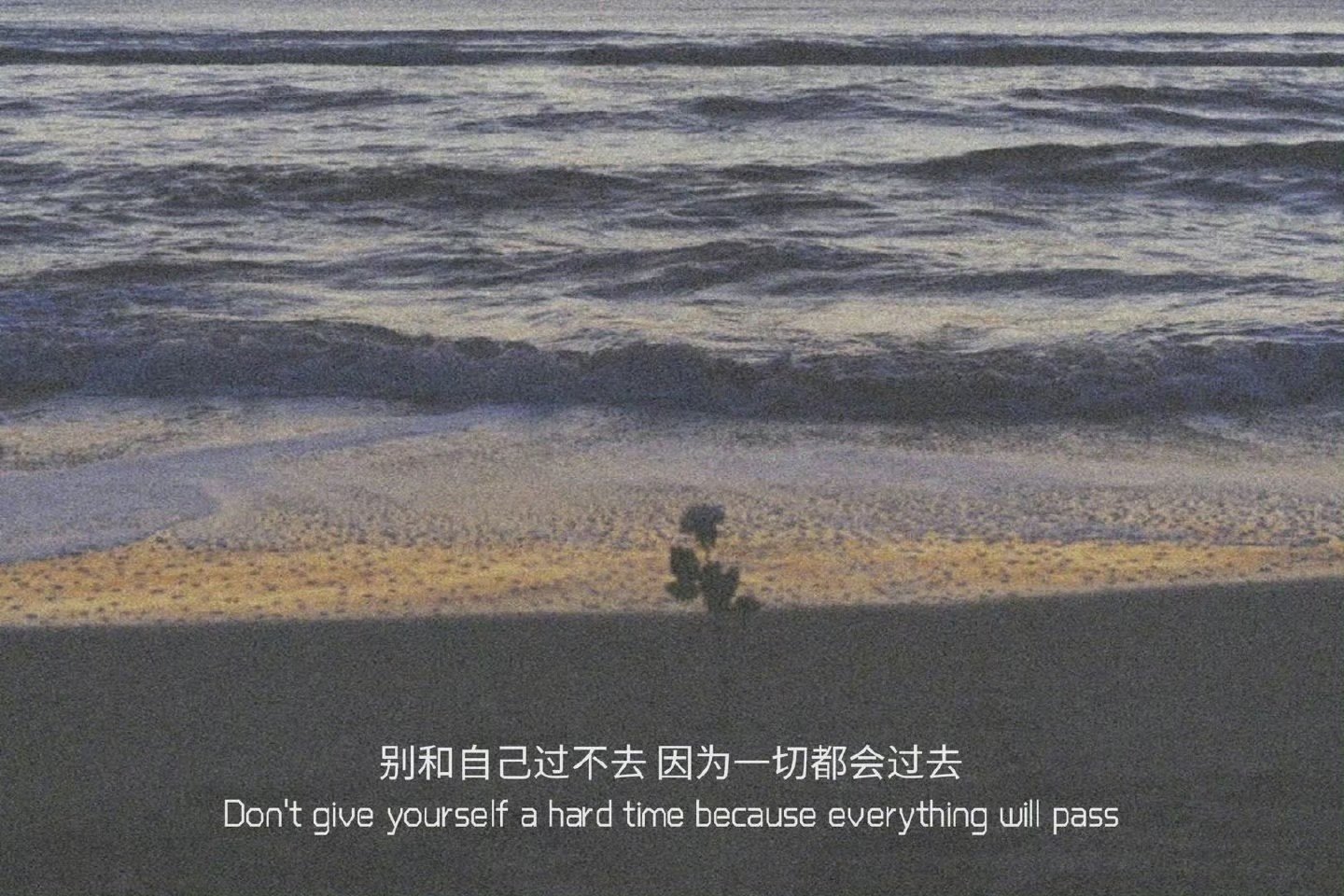 “男人爱你只有两个标准：一是娶你回家，二是给你钱花，如果没有，都是扯淡”​​​