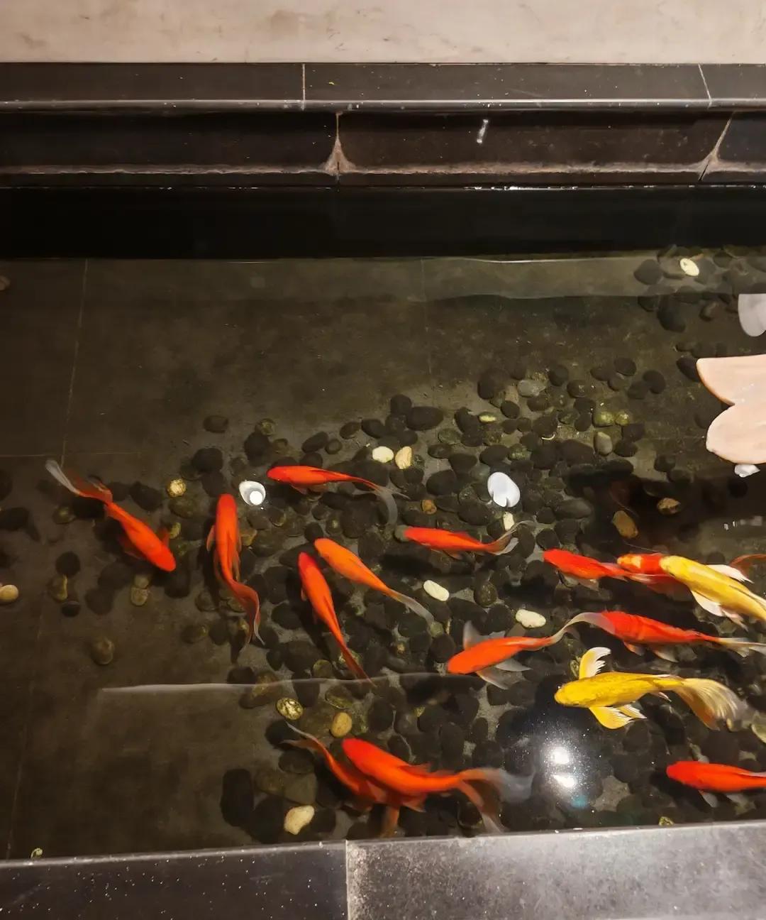 亲戚退休前顺手带过一个叫小张的新人，教业务、挡暗箭、帮他提前转正。谁也没当回事