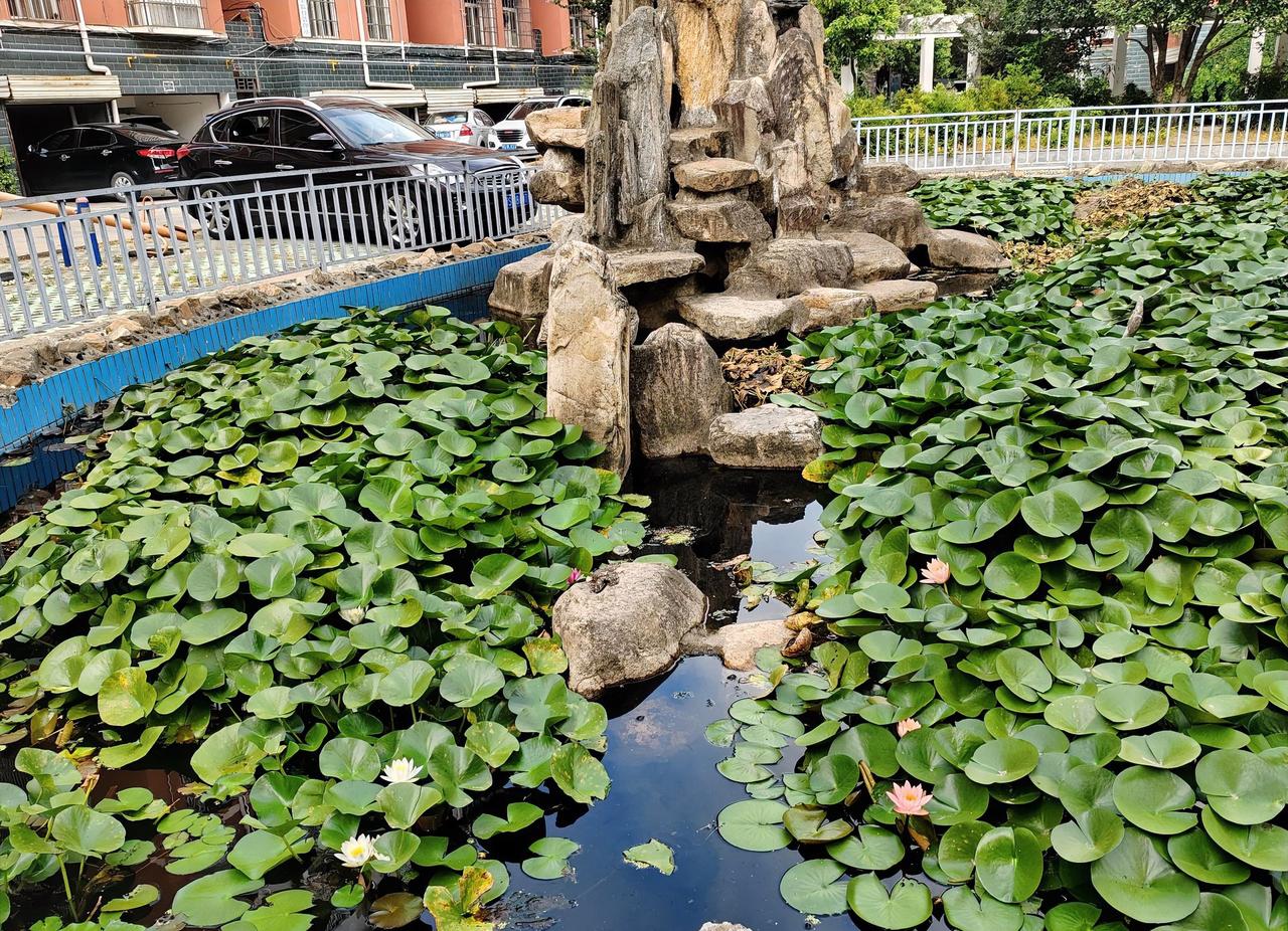 奉劝大家，尽量不要和亲戚住在同一个小区。我有个同事当初买房，她亲戚说咱买一起