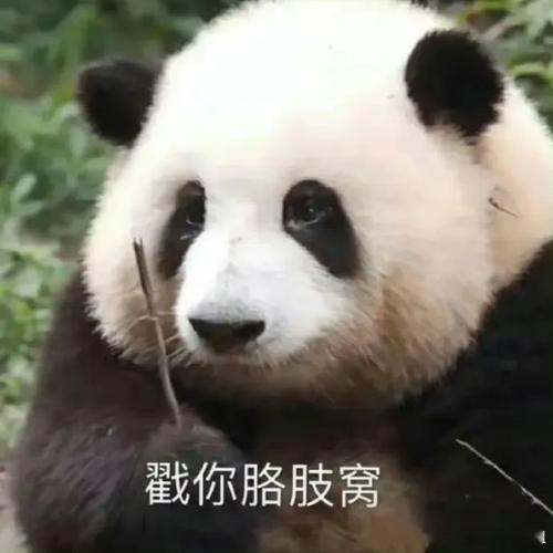 京东是不是被人薅毛薅多了，敷衍的不行不行的……这么多平台下来，我第一次见这么“
