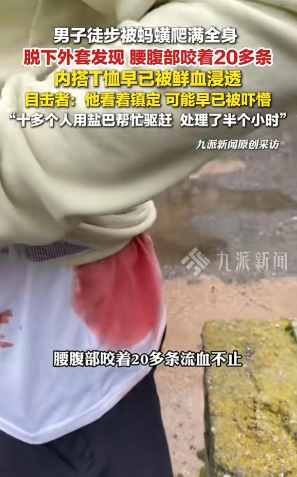 “头皮发麻！”7月4日，云南昆明，一男子与朋友徒步，他撞见一位徒友的雨衣爬满密密