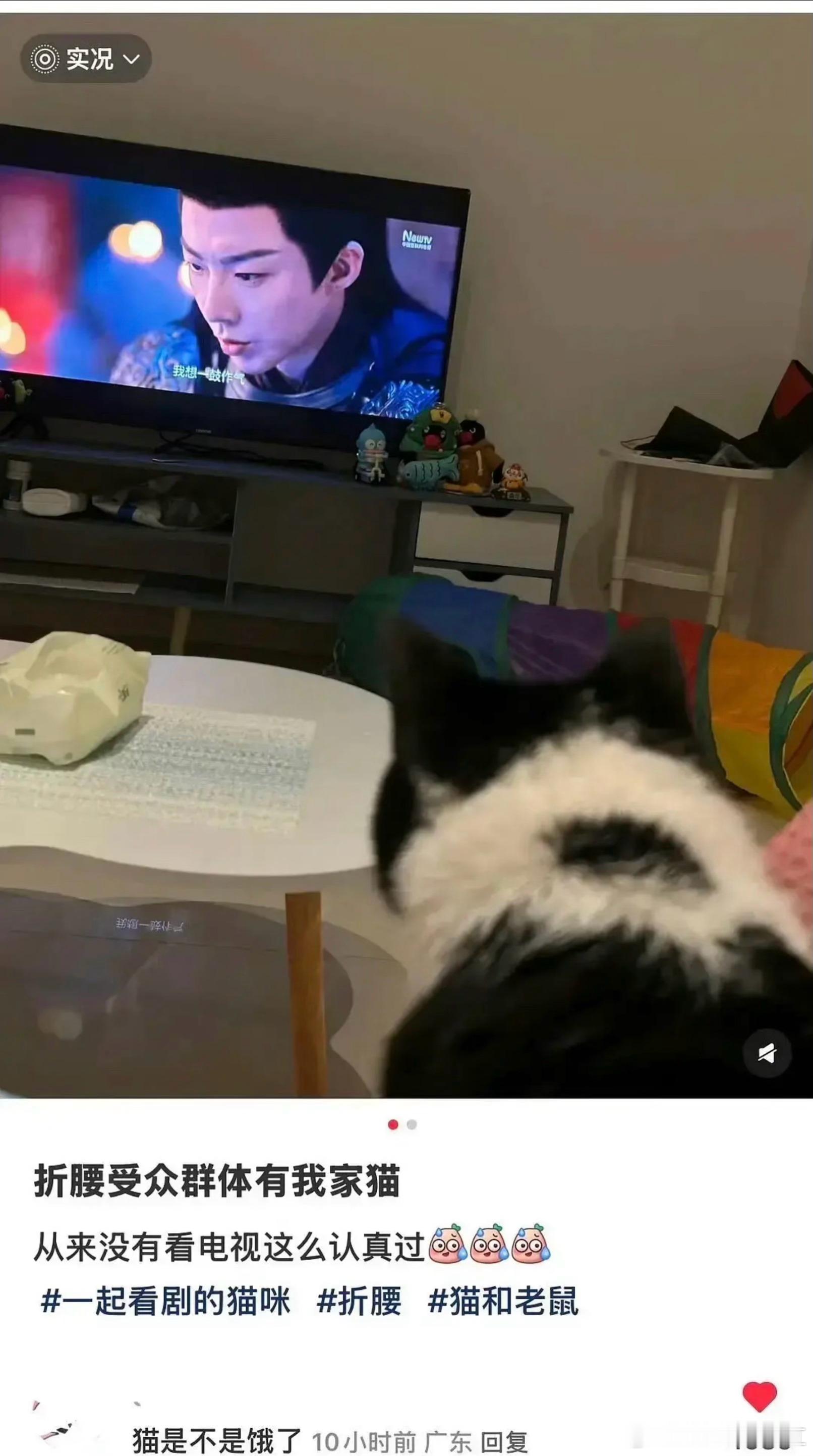 啊啊啊啊啊啊啊啊啊啊啊​​​