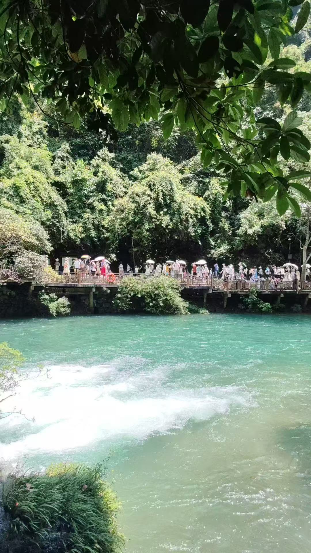 💖贵州荔波小七孔|绿宝石仙境打卡攻略💖