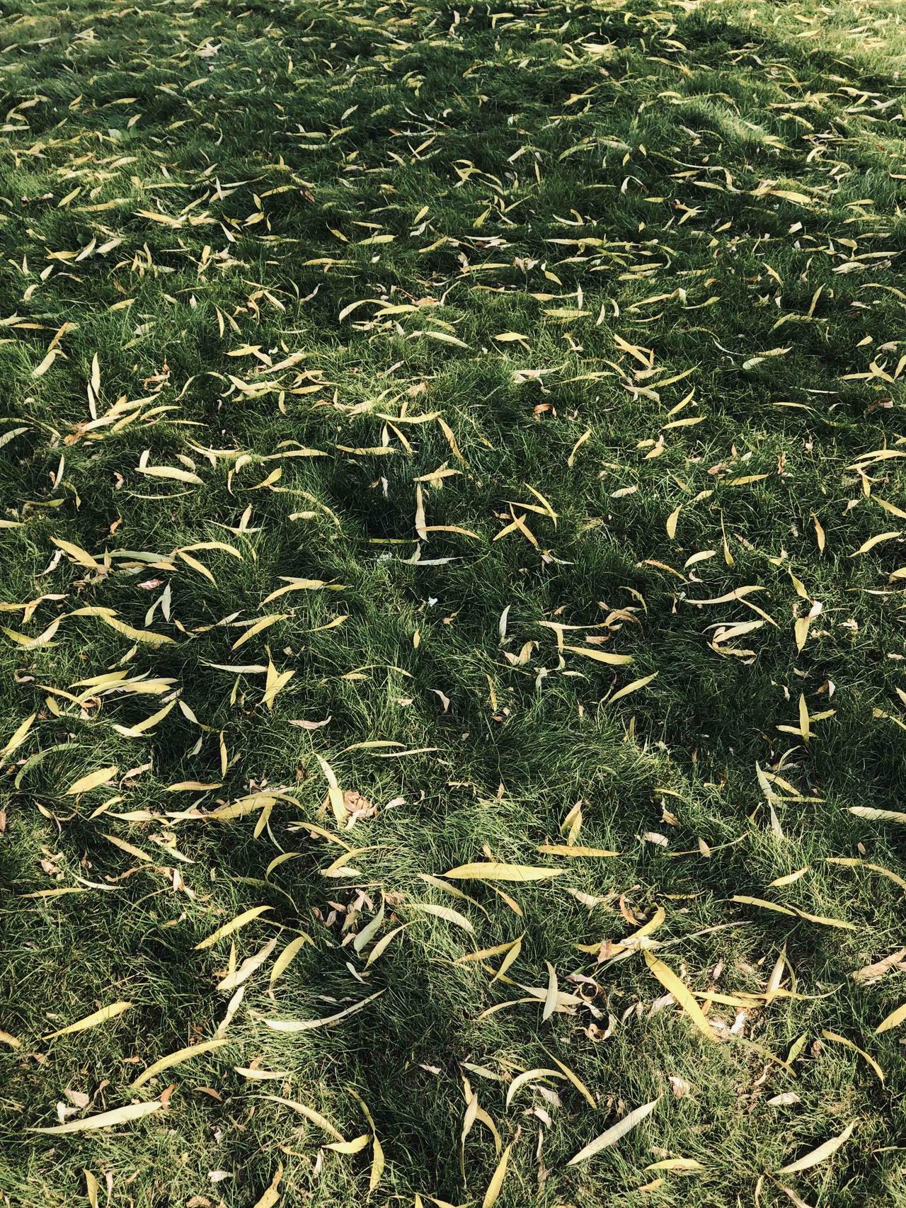 许多人完全不了解人类历史，更不懂什么犹太历史，以为看了点中国教科书的历史，以为自