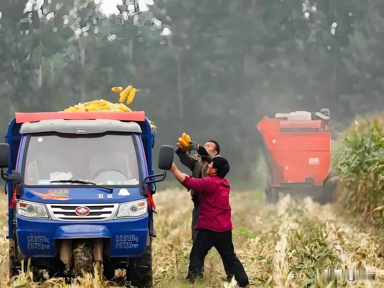 大胆预判一下！目前有一个信号非常值得我们深思，那就是国家继续带头过紧日子。这