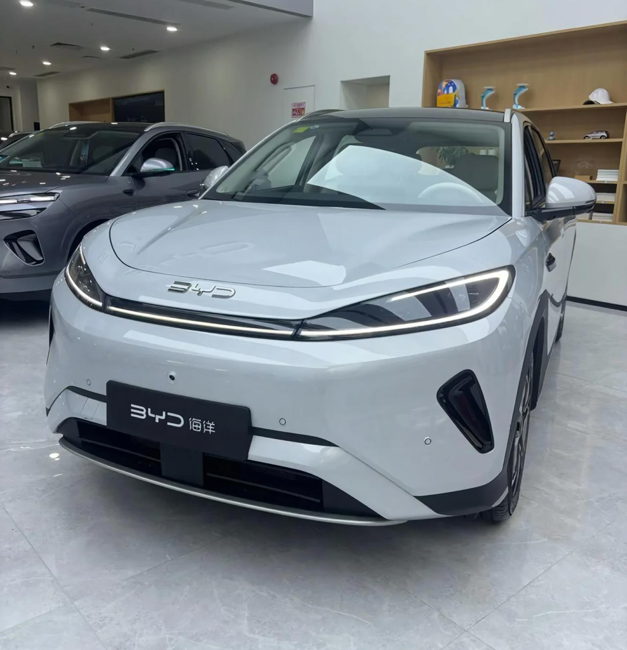 ‍👩‍👧‍👦我觉得新款海狮05DM这车目标人群比较明确，就是那种想买SUV