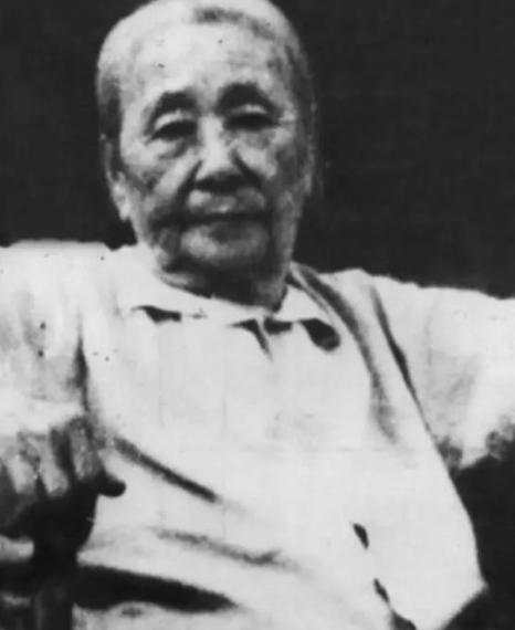 1924年，老师在课堂上打了8岁的张学思十手板，张学思哇哇大哭：“我爸是张作霖！