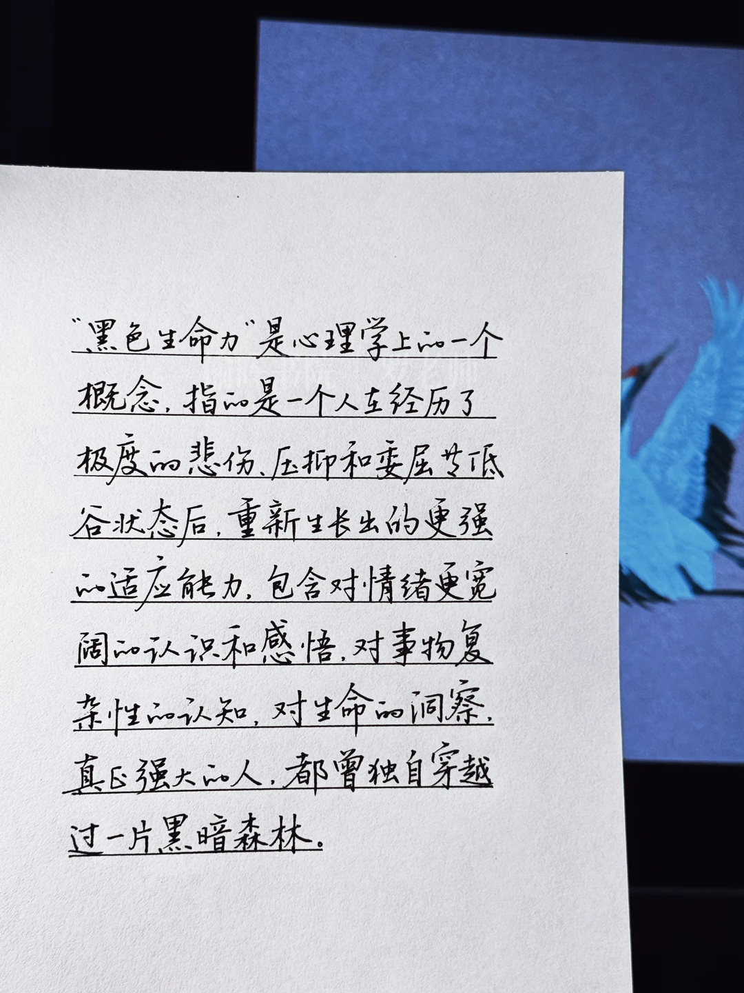 真正强大的人，都曾独自穿过一片黑暗森林