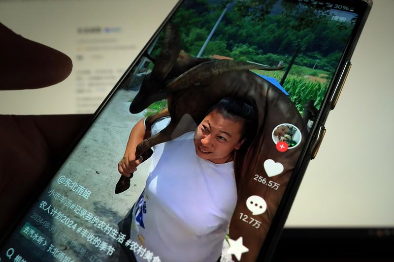 家人们，东北雨姐在国内复出那是处处碰壁，居然跑到tiktok去发展了，看来她是铁