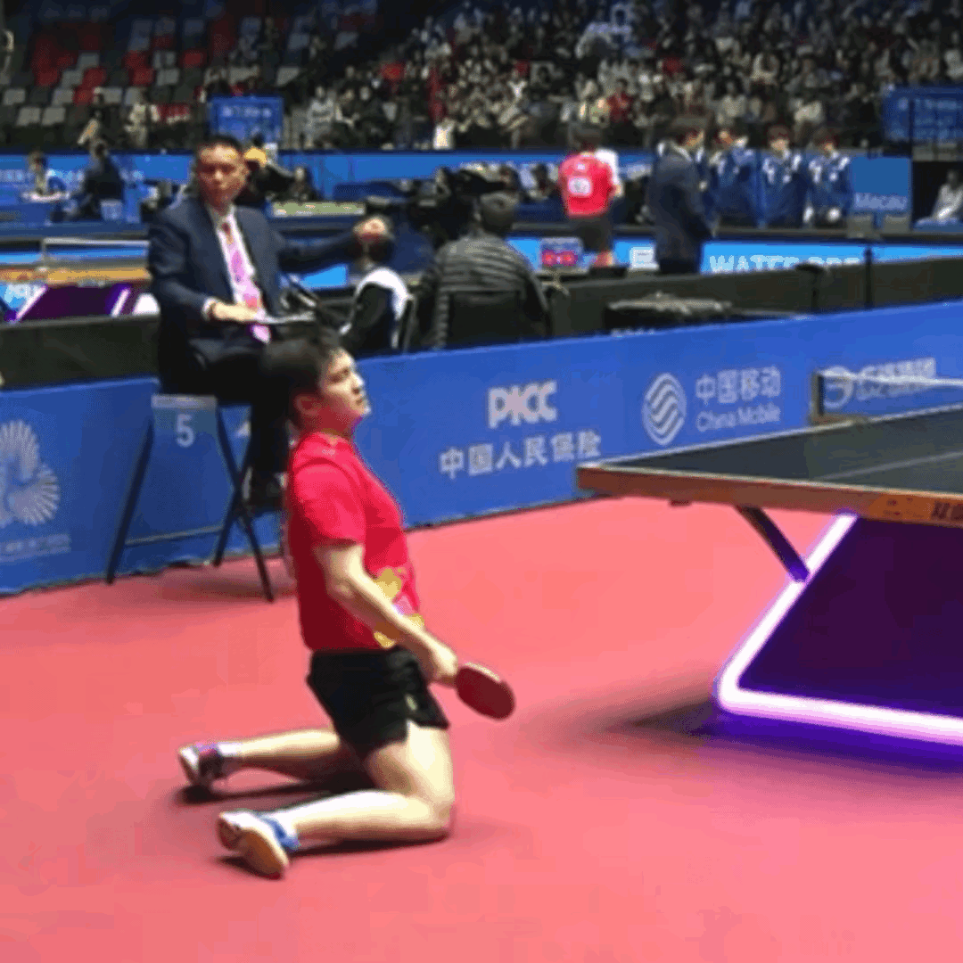 东哥这是咋起来的，腿上装弹簧了吗？不得不说，樊振东这身体条件，不练举重太