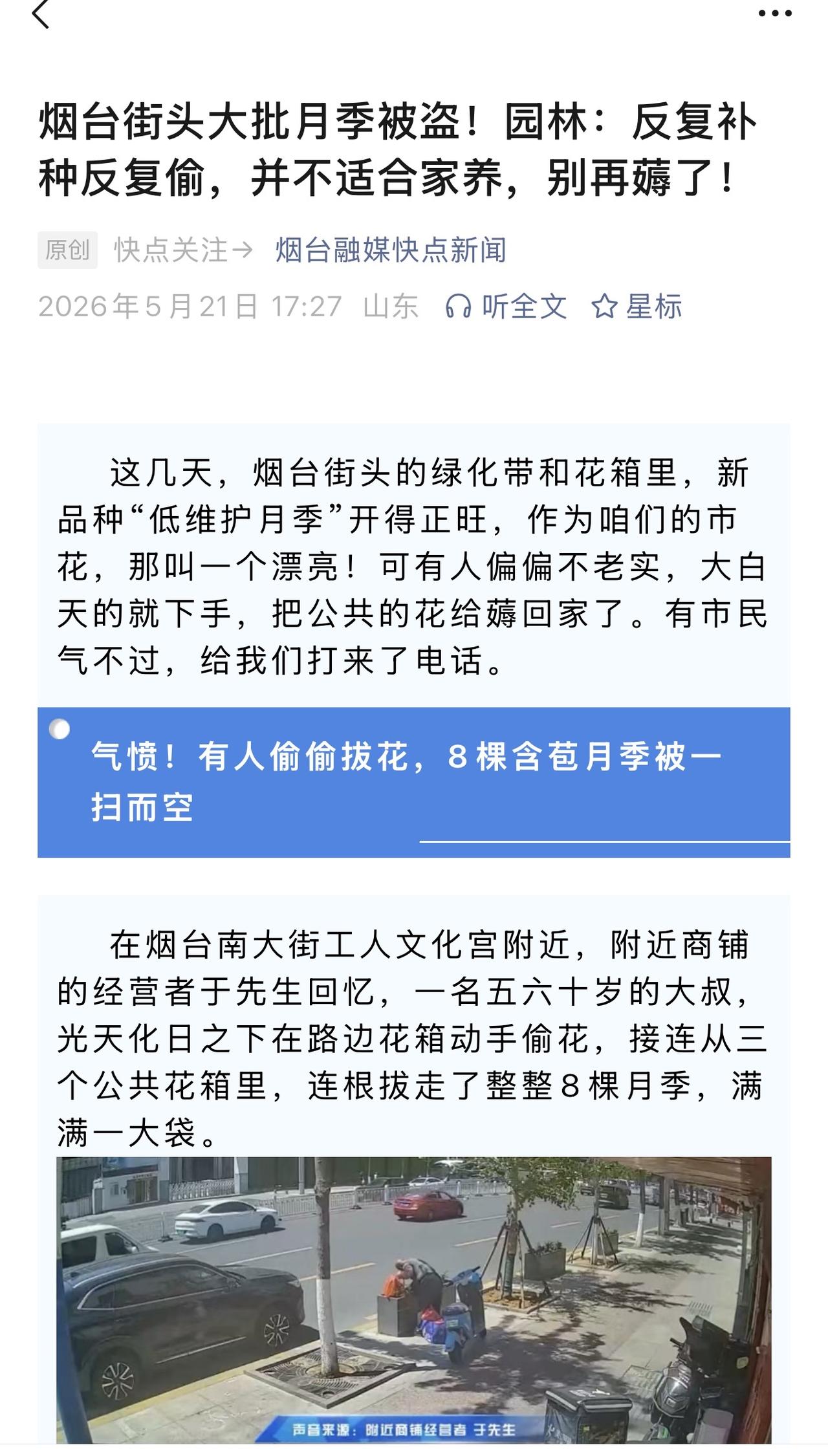 街头偷花这是怎么想的？想要花去市场大集买一盆也花不了几个钱，怎么非得去街边绿化带