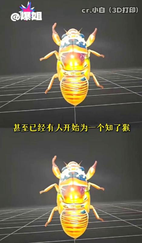 山东抓知了猴的这批人最近估计快要崩溃了，他们千算万算，也没算到能碰上科技感拉满的